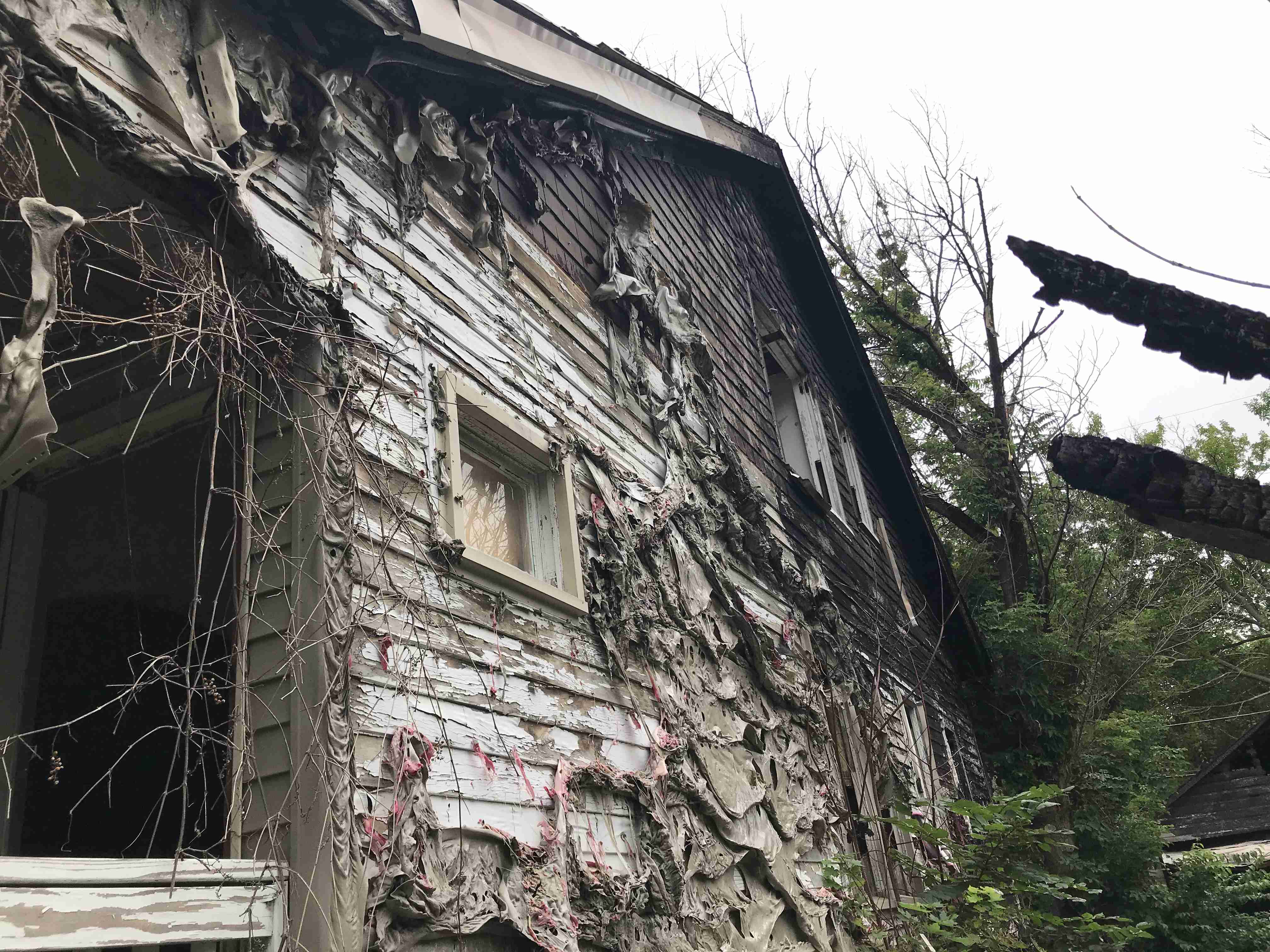 Photo Sep 10, 2 24 31 PM.jpg